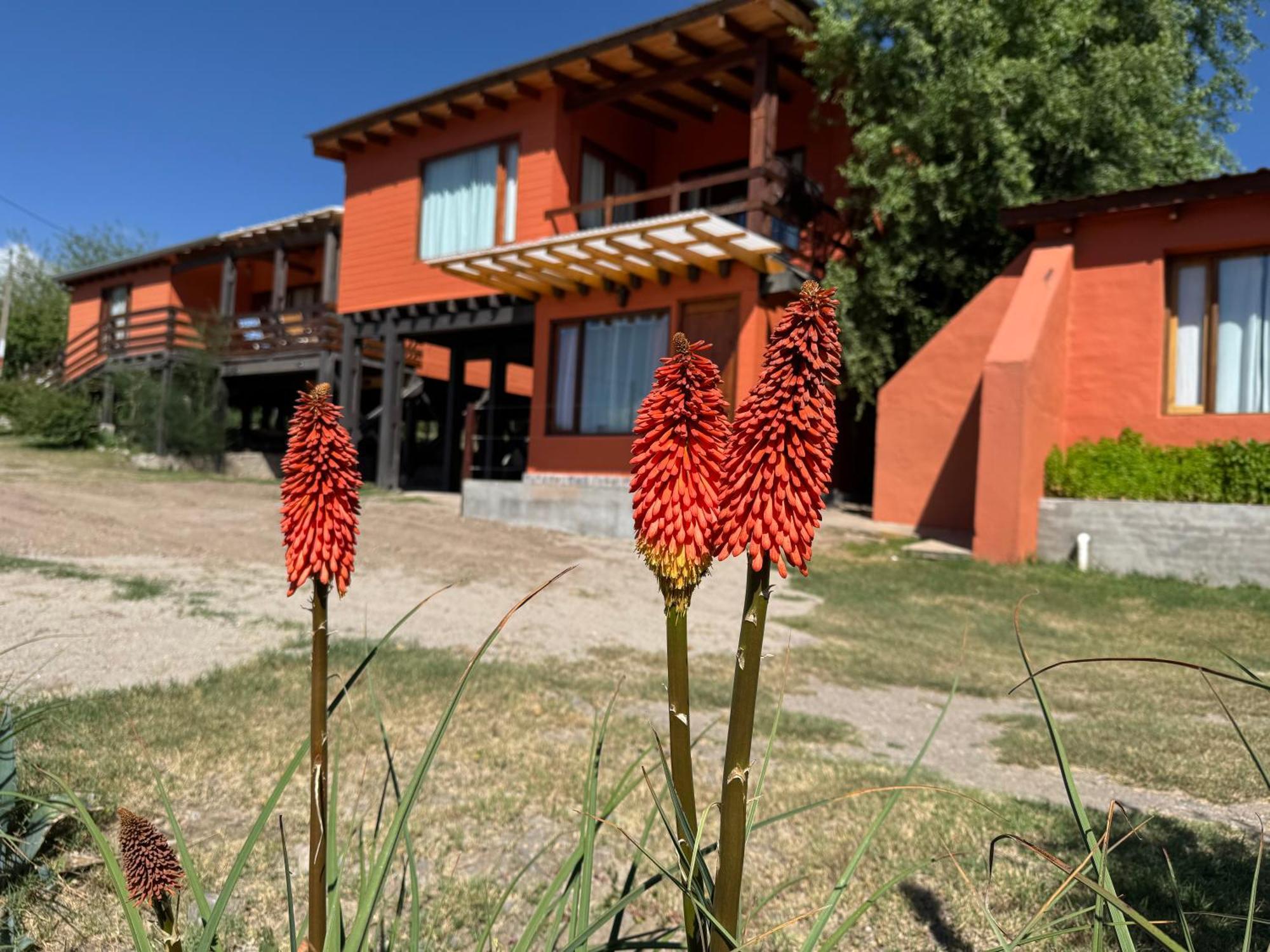 Cabana El Churqui Tafi del Valle Ngoại thất bức ảnh