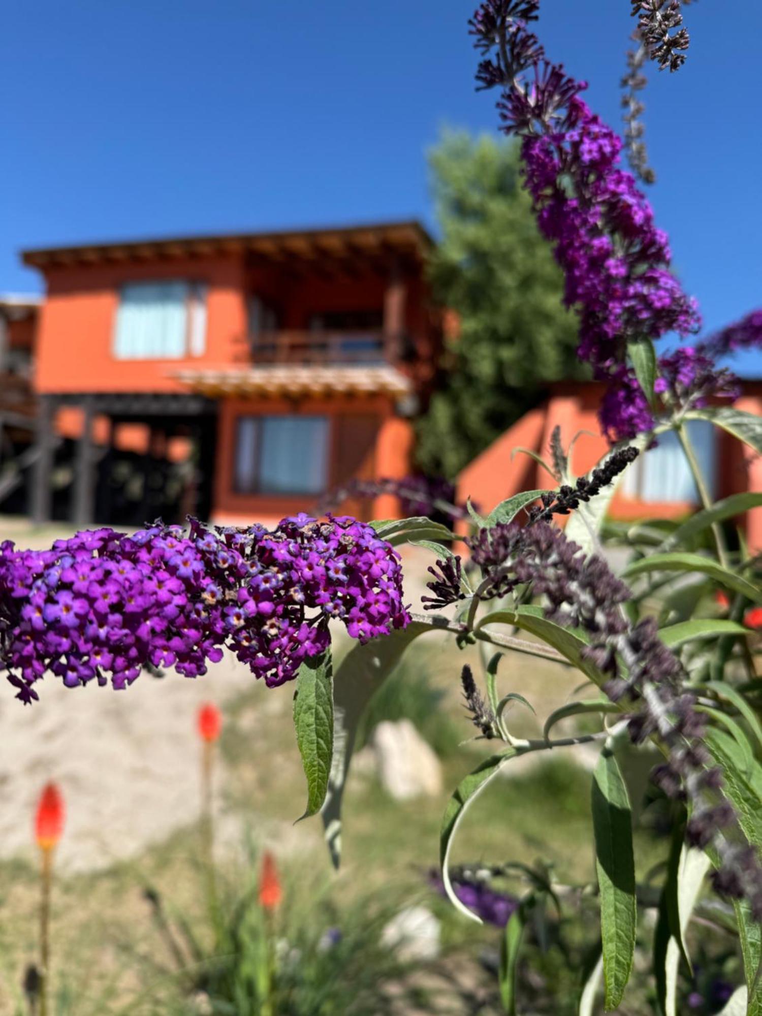 Cabana El Churqui Tafi del Valle Ngoại thất bức ảnh